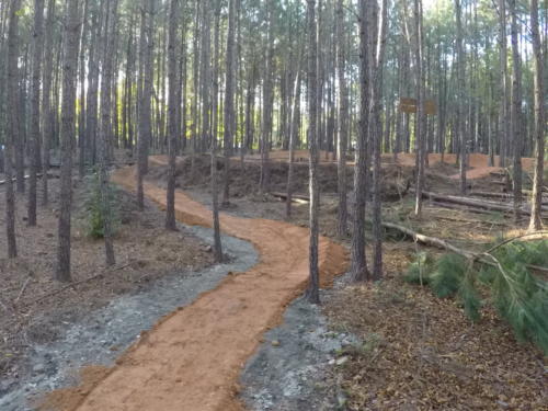 Single-Track to Pump Track